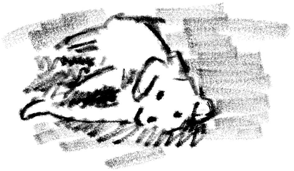 塗り残しとしての私 ── ゆりの線画